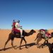 expeditions