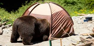 Camp rules