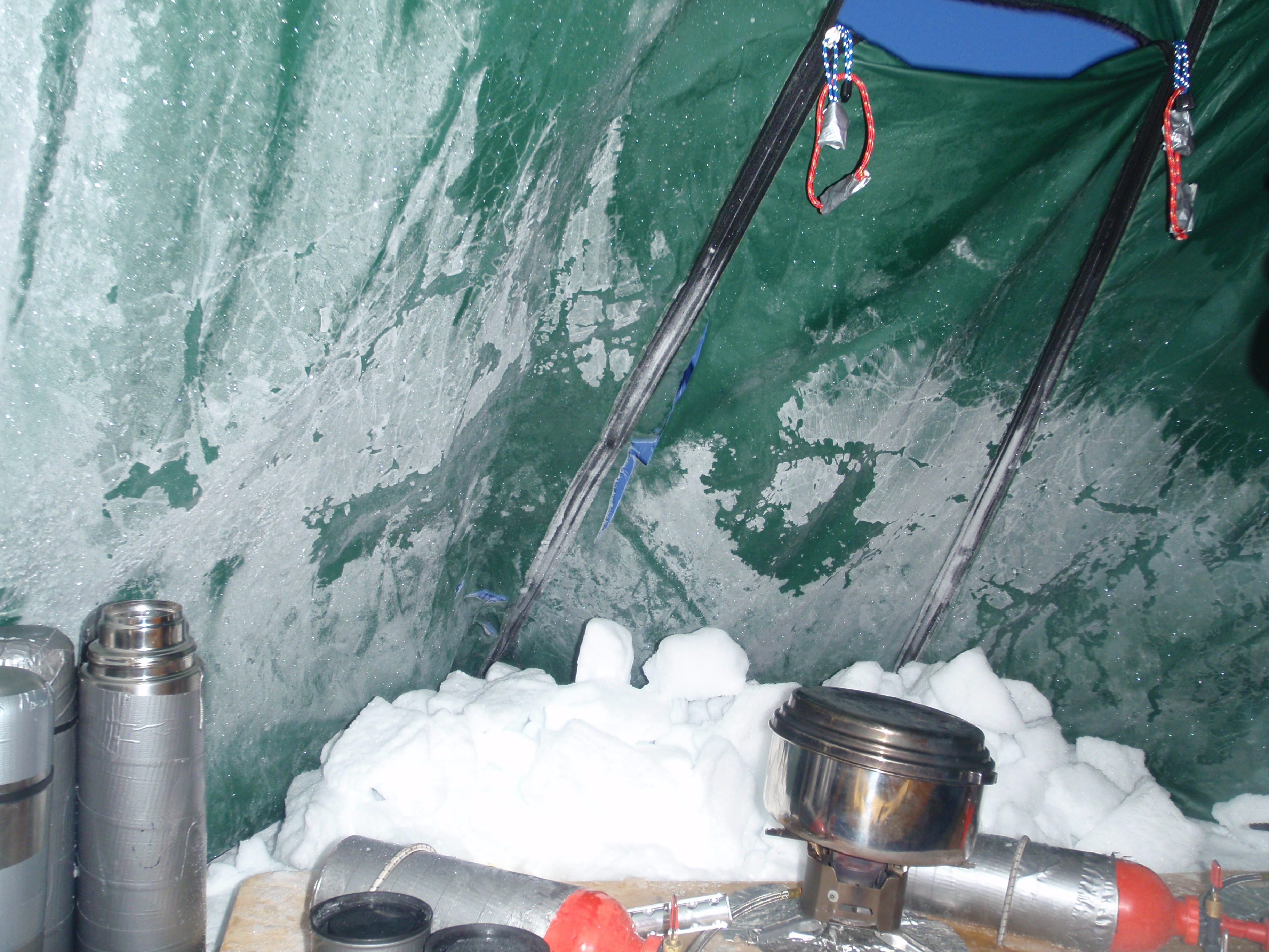 Damage done to our tent (Arctic 2009) by a Polar Bear